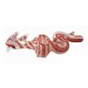 Dragon Glass Pipe - 16cm